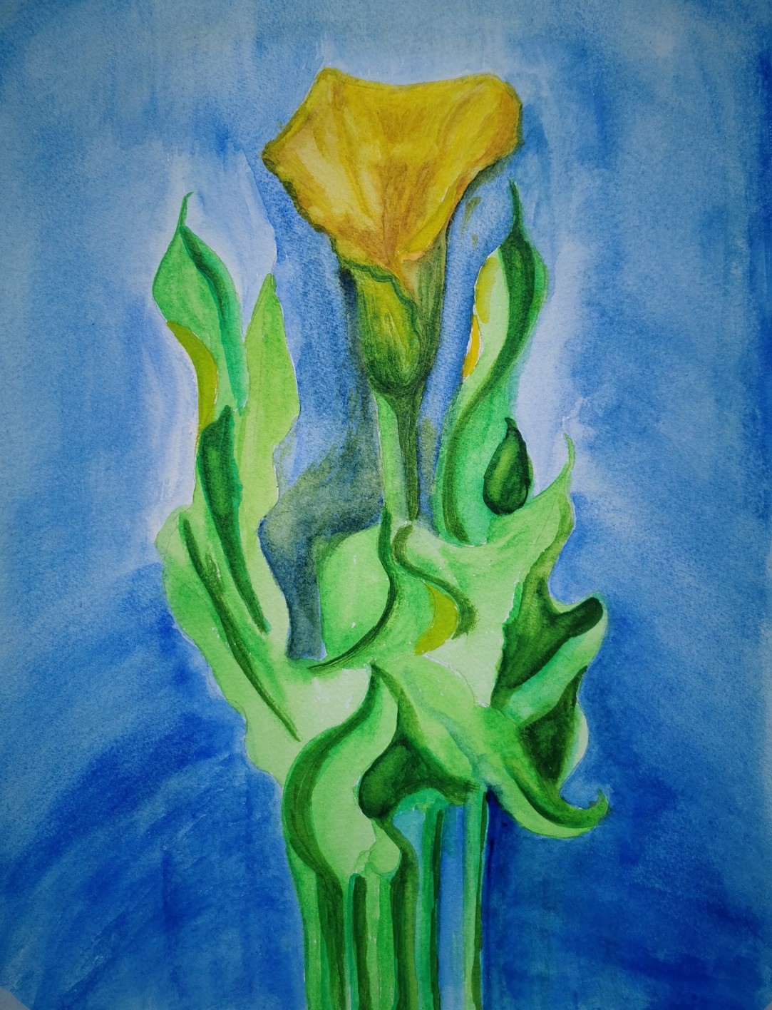 the light in cyprus paintings by sarah fenwick